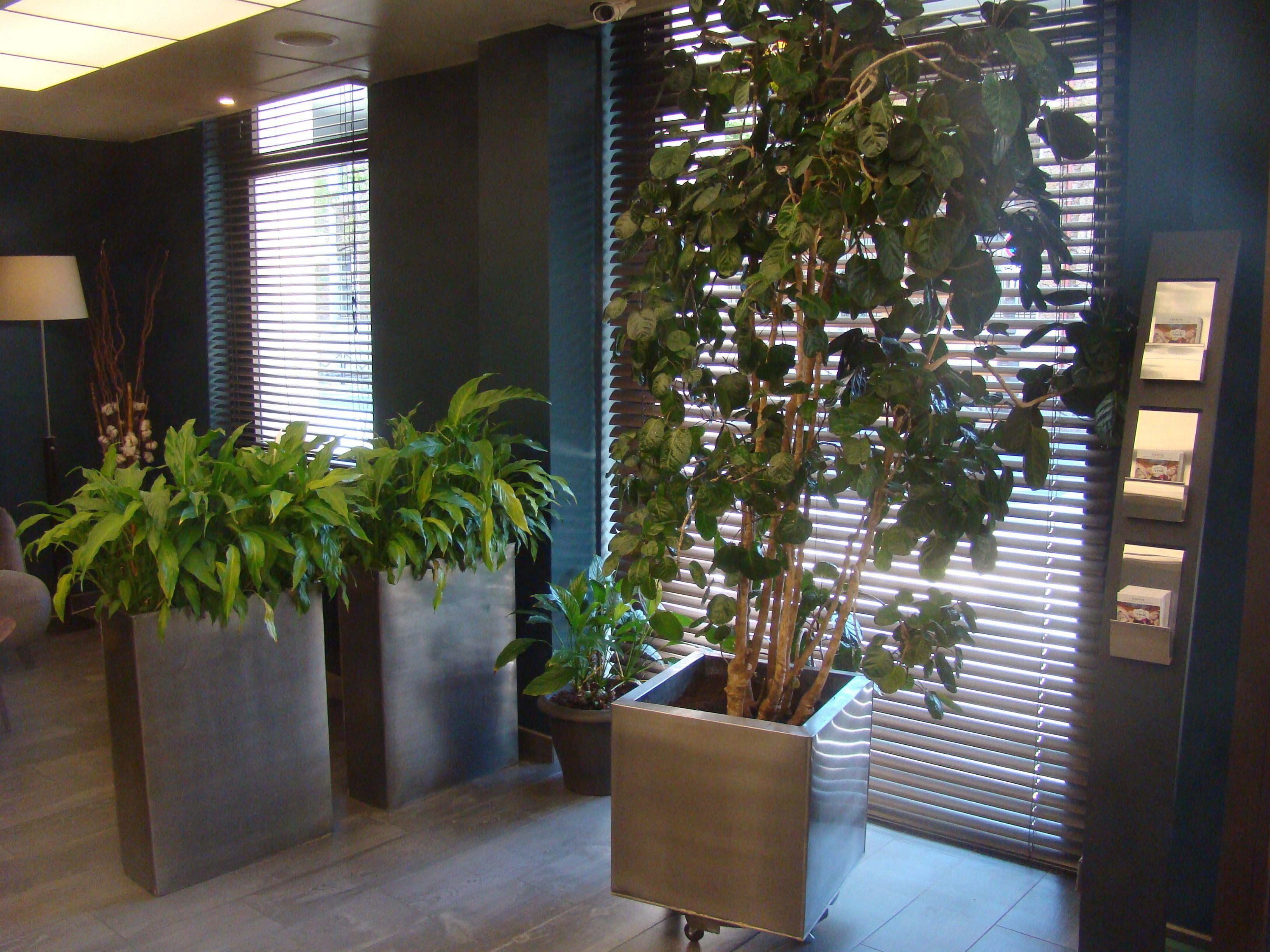 Montparnasse Alésia Hotel Parigi