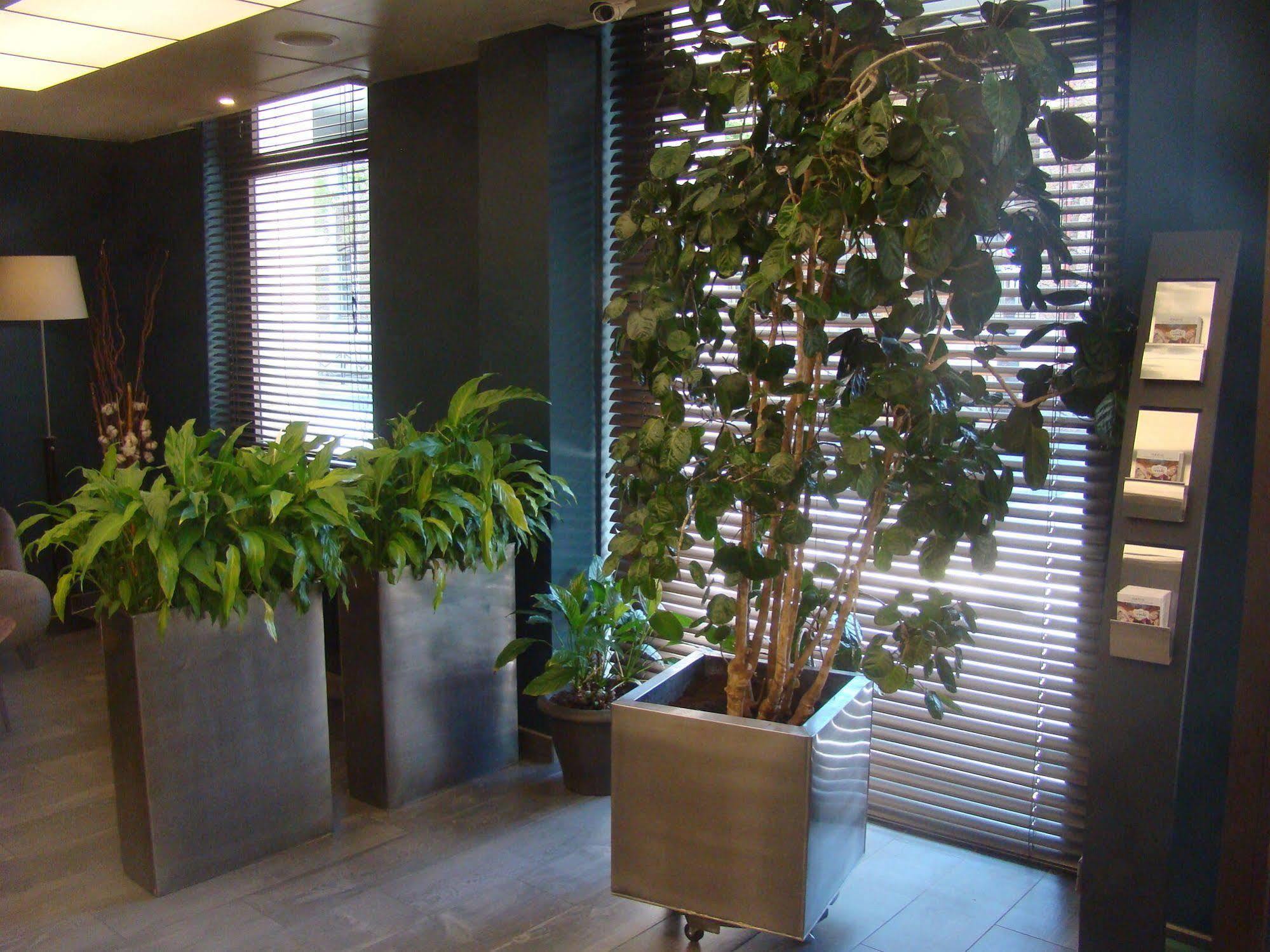 Montparnasse Alésia 3* Parigi